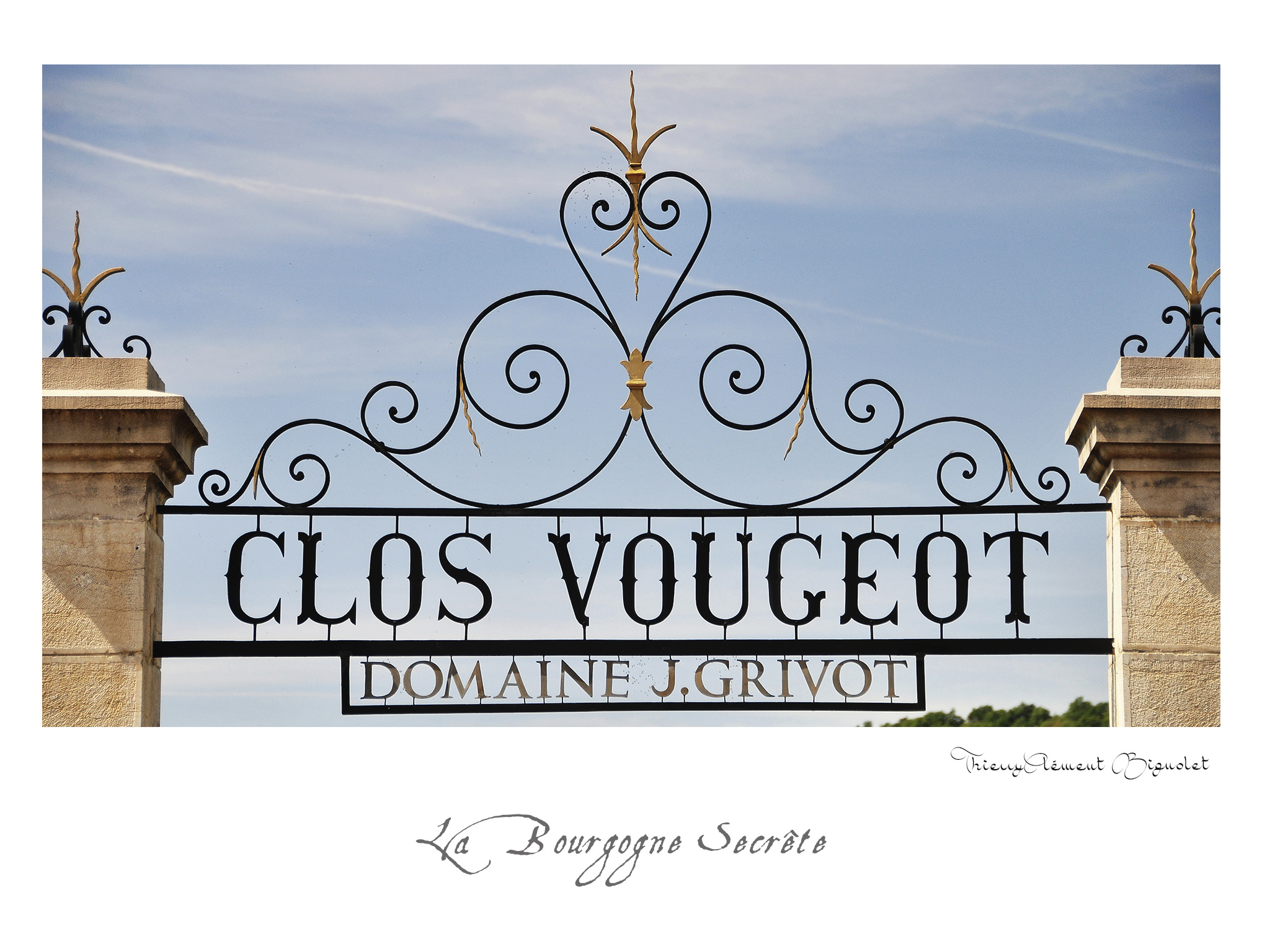 012 BOURGOGNE2016 20481